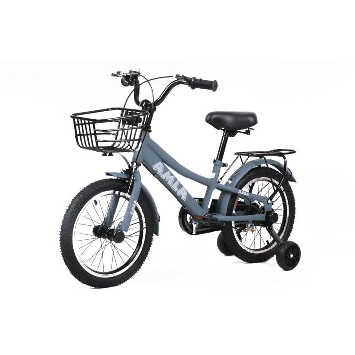 Amla Mountain Bike - 12-Inch - TNHY-12 - Zrafh.com - Your Destination for Baby & Mother Needs in Saudi Arabia