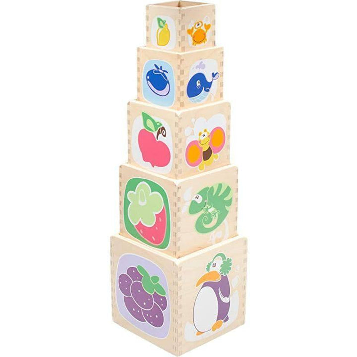 Chicco Stacking wood Cubes Toy - 18-36M - ZRAFH