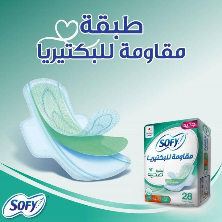 Sofy Anti-Bacterial, Slim Large 29 cm, Sanitary Pads with Wings Pack Of 28 Pads - ZRAFH