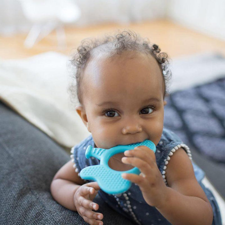 Dr. Brown's Teether Elephant - Blue - Zrafh.com - Your Destination for Baby & Mother Needs in Saudi Arabia