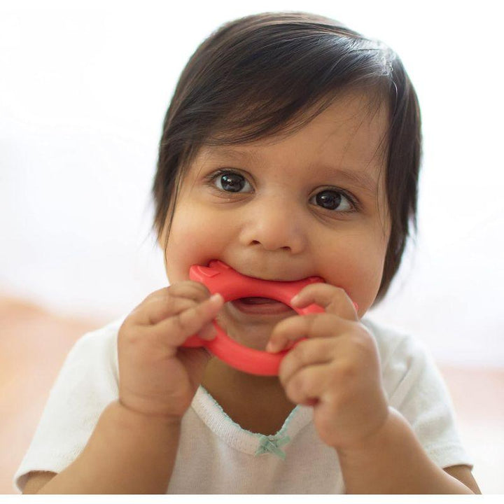 Dr. Brown's Teether Fox - Red - Zrafh.com - Your Destination for Baby & Mother Needs in Saudi Arabia