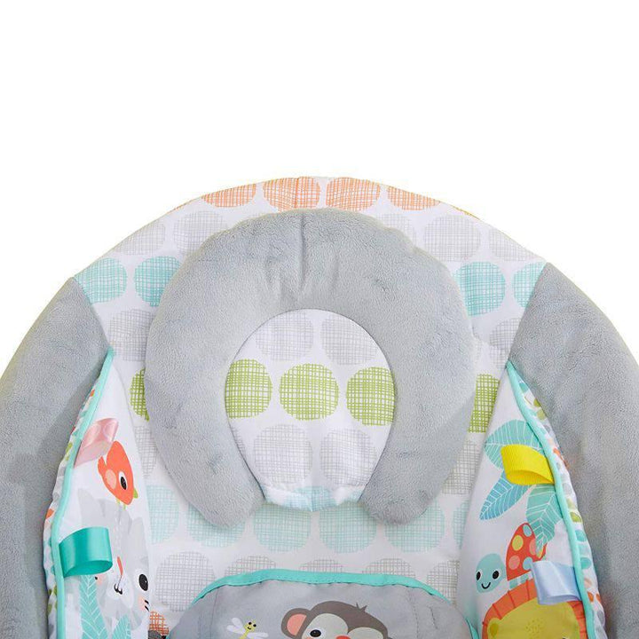 BRIGHT STARTS Whinsical Wild Cradling Bouncer - multicolor - ZRAFH