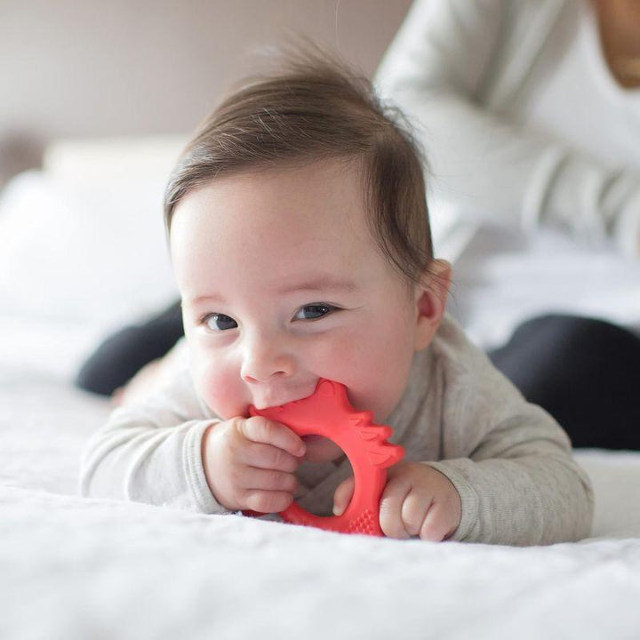 Dr. Brown's Teether Fox - Red - Zrafh.com - Your Destination for Baby & Mother Needs in Saudi Arabia