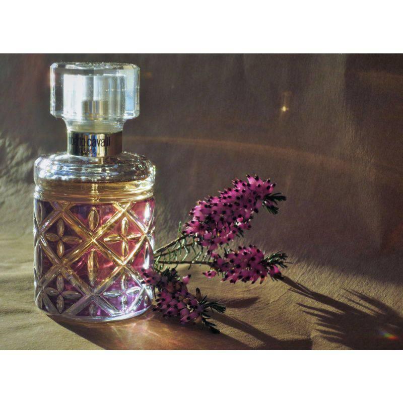 Roberto cavalli florence online 50 ml