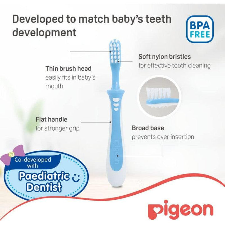 Pigeon Baby Training Toothbrush 12 - 18 Months - Zrafh.com - Your Destination for Baby & Mother Needs in Saudi Arabia